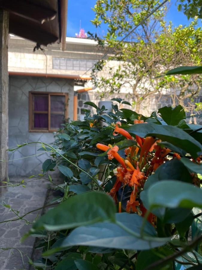 San Lucas Tolimán Casa Qatzij - Guest House, Lake Atitlan מראה חיצוני תמונה