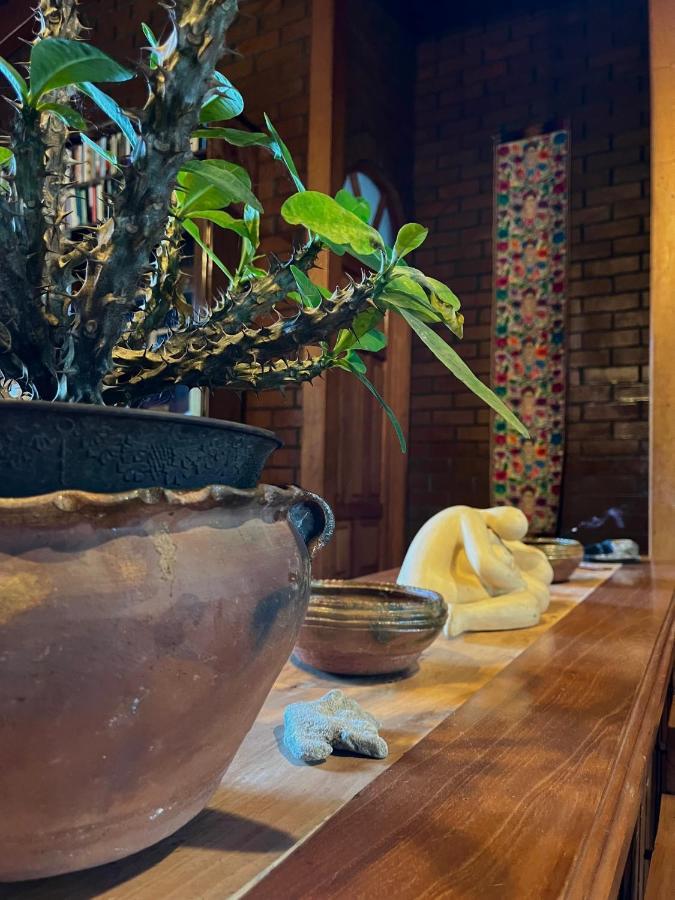 San Lucas Tolimán Casa Qatzij - Guest House, Lake Atitlan מראה חיצוני תמונה